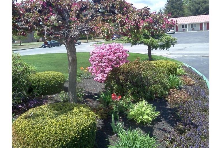 Belmont Motel Skowhegan Eksteriør billede